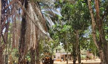 Imagem: Excelente Fazenda de 29 Hectares no Córrego