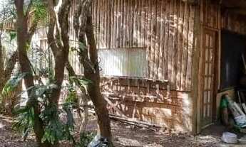 Imagem 7: Velleda oferece lindo sítio espetacular condomínio fechado Águas Claras, pronto para paisa