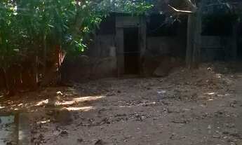 Imagem 6: Sitio em sepetiba com 2.691 m²