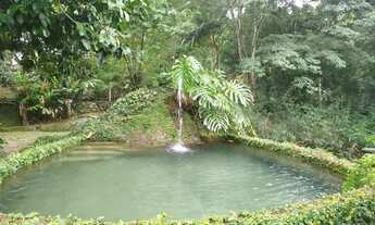 Imagem: Paraíso na Natureza com Rio Privativo em