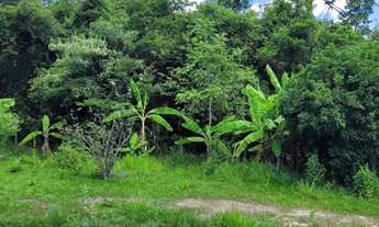 Imagem 6: ? SÍTIO / TERRENO RURAL À VENDA OU TROCA - 84.000 m² (2 ALQUEIRES