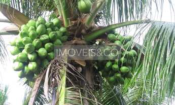 Imagem 3: ESPETACULAR: Fazenda com vista para o mar, à venda em Conde-BA, Barra do Itariri - 2 quart