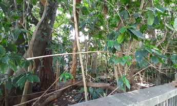 Imagem 4: Terreno na Vila Ida /Alto da Lapa 850m²