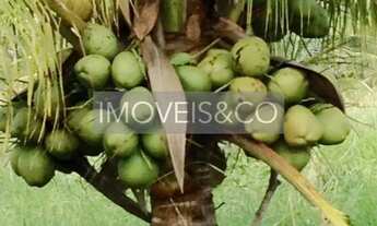 Imagem 6: ESPETACULAR: Fazenda com vista para o mar, à venda em Conde-BA, Barra do Itariri - 2 quart