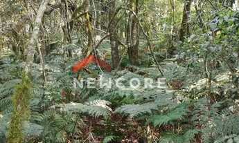 Imagem 2: Lote em Rua Quatis - Colinas - São Francisco de Paula/RS