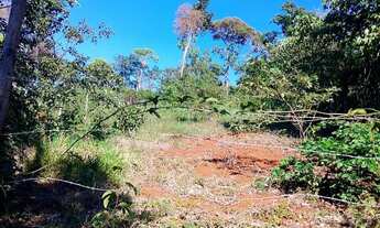 Imagem 7: Chácara.. 1000 metros..