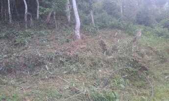 Imagem 3: Terreno 10x25 bairro Serrinha