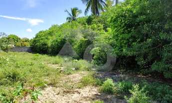 Imagem 6: Terreno Amplo Para Venda no Mosqueiro com Acesso Rápido à Orla Por do Sol