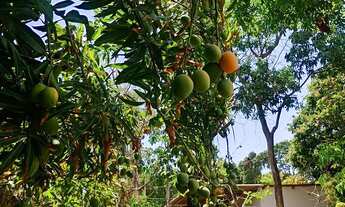 Imagem 5: Chácara beira dágua, próximo Tupaciguara