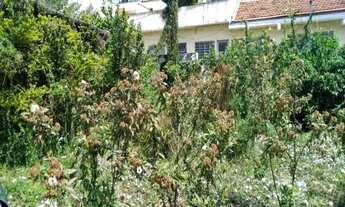 Imagem 6: TERRENO, 1948 M² -PENHA - SÃO PAULO/SP