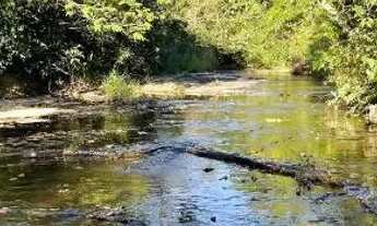 Imagem 5: Excelente lote próximo a represa de Três Marias