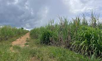 Imagem 6: Chácara em americano do Brasil