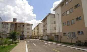 Imagem 6: Locação de Apartamentos / Padrão na cidade de Araraquara