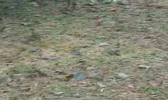 Imagem 4: TERRENO NO IRANDUBA