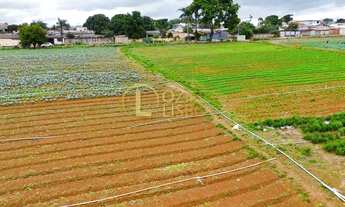 Imagem 4: CHÁCARA 105 HECTARES ESCRITURADA 100% PLANA CASA SEDE TANQUE DE PEIXES NO INCRA 08 BEIRA