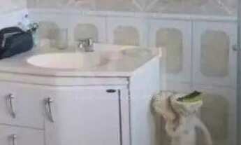 Imagem 5: Casa para Venda - 200m², 2 dormitórios, sendo 2 suites, 2 vagas - Ponta Grossa