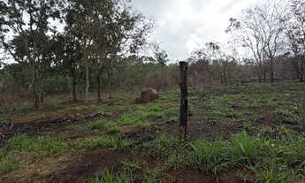 Imagem 2: Oportunidade imperdível