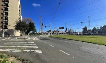 Imagem 6: Terreno - Jardim das Paineiras - Campinas