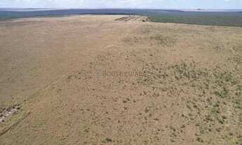Imagem: Oportunidade Fazenda Campo Novo Do Parecis
