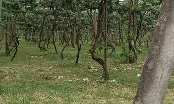 Imagem 6: Vendo chácara no Incra 7, ótima localização