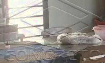 Imagem 4: VILA CARDIA 3 DORM