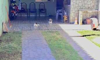 Imagem 2: Aluguel casa!! Casa com 1 dormitório