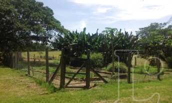 Imagem 7: Viamão - Sítio - Cocão