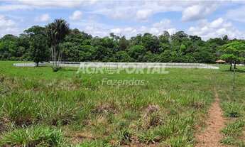 Imagem 9: Fazenda no Pará - Santa Maria - 312 ha (64 alq