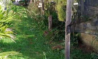 Imagem 5: Linda Chácara com piscina