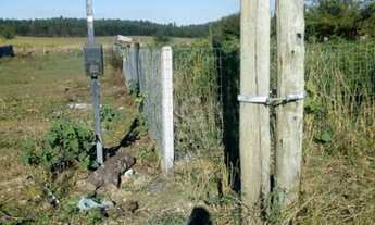Imagem 4: Charqueadas - Terreno Padrão - Centro