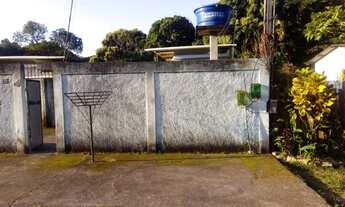 Imagem 4: Chácara com Casa e Várias Plantações Watssap