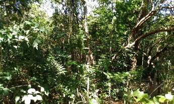 Imagem 5: 02 lotes na beira do lago Canabrava em Minaçú-GO