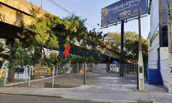 Imagem 6: Campinas - Terreno Padrao - Jardim Novo Cambuí