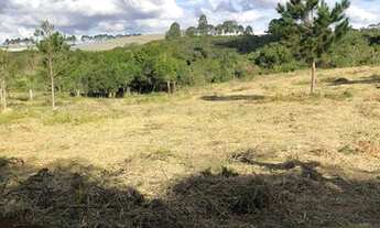 Imagem 5: Terrenos direto com o proprietário, negocie sem burocracia