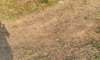 Imagem: Venha ver a paisagem maravilhosa - proximo