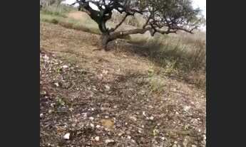 Imagem: Venda ou troca em moto ou carro