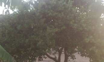 Imagem 7: Sìtio no Serrote da Batateira