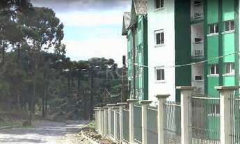 Imagem 2: Canela - Apartamento Padrão - Vila São Luiz