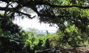 Imagem: Porto Alegre - Terreno Padrão - Nonoai