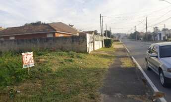Imagem 3: Terreno 13x37 rua de ônibus araucaria