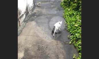 Imagem 8: Maravilhosa casa