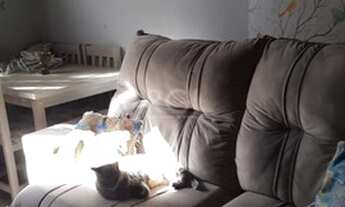 Imagem 1: Porto Alegre - Apartamento Padrão - Camaquã