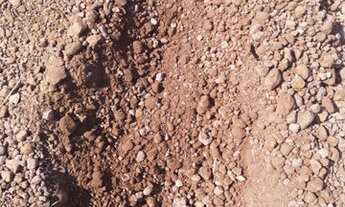 Imagem: Fazenda 1600 hectares ribeirao cascalheira