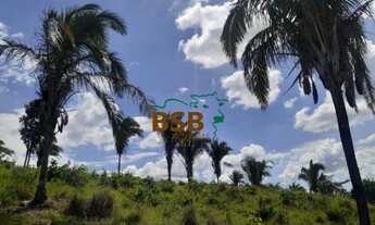 Imagem 3: Fazenda 34alq em Monte Alegre/GO - Pecuária e Piscicultura