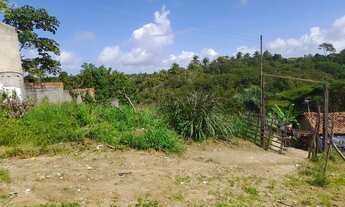 Imagem 5: Vendo terreno em paripueira 6 por 115 fone