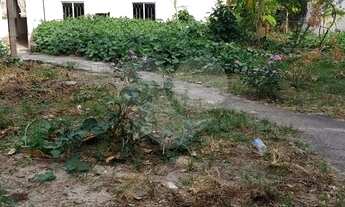 Imagem 7: Magnífico terreno, juntinho a Rua Barreiros