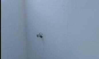 Imagem 5: Sobrado com 3 dormitórios à venda, 105 m² por R$ 583.000,00 - Jardim São Francisco - Guaru