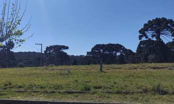 Imagem 7: Terreno URBANO com 1436 m² no Centro de Campo Alegre - SC