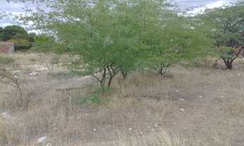 Imagem 2: Terreno no rodeadouro