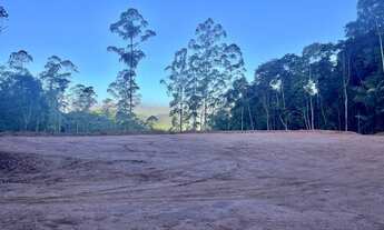 Imagem 6: Chácara escritura com nascente